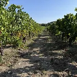 Le Stanze Della Castellana Daire
